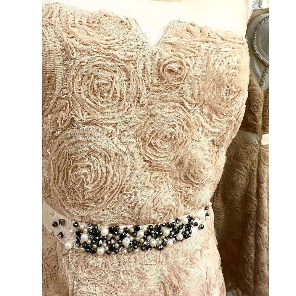 New Ryu Women’s Party Dress Tulle Illusion Neckline Rosettes Beige NWT Sz Large
